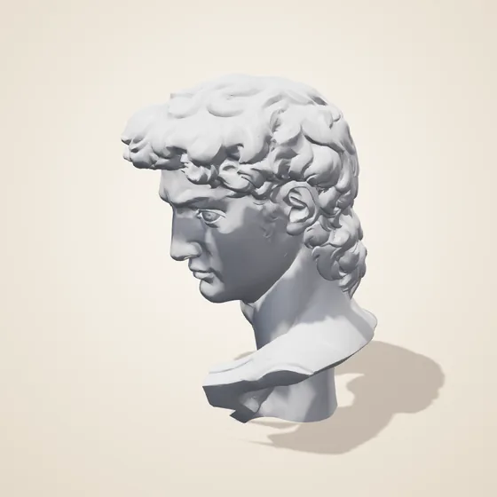 3D render of a grey museum scan of the head of Michelangelo's David, turning slowly