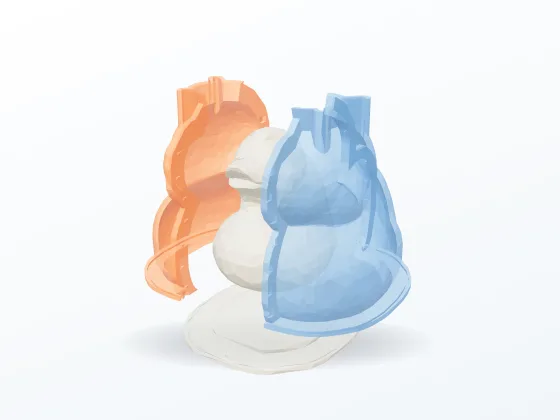 Adaptive silicone mold: the mold opened up around the model it casts.